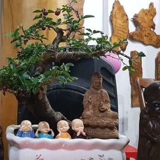 Bộ 4 tượng tứ không