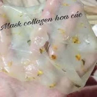 maske collagen tươi cúc la mã
