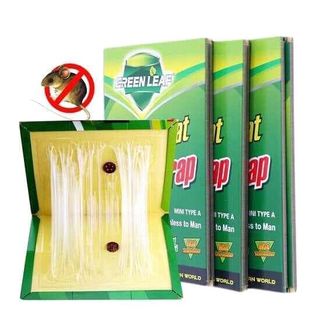 keo dính chuột