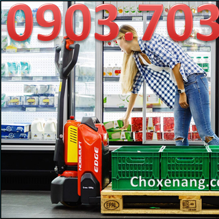 Xe nâng điện thấp PTE15N Noblelift Germany giá cực sốc