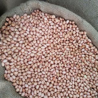 Cung cấp Hạt đậu phộng nhân Ấn Độ giá sỉ