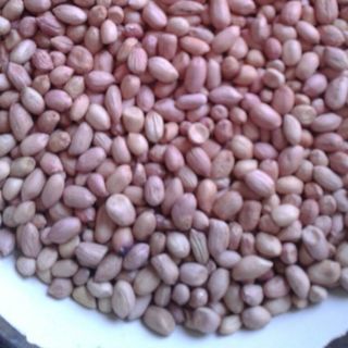 Cung cấp Hạt đậu phộng nhân Ấn Độ