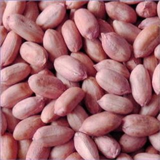 Cung cấp Hạt đậu phộng nhân Ấn Độ