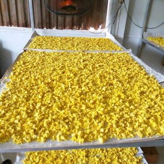 tinh bột nghệ nguyên chất