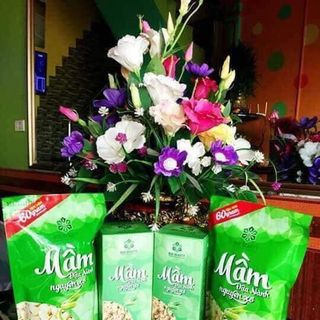 MẦM ĐẬU NÀNH NGUYÊN XƠ