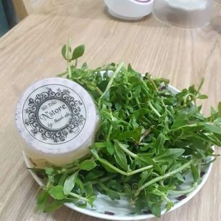 Mỡ trăn nguyên chất Nstore