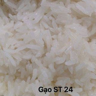 gạo St24