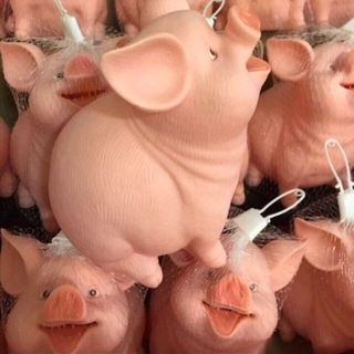 heo tiết kiệm mini
