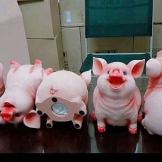 heo tiết kiệm mini