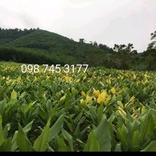 ĐT gặp Mr Nam