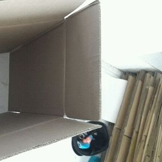 Thùng Carton