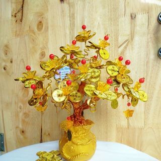 CÂY KIM TIỀN TÀI LỘC PHK MẪU HOA ĐỒNG TIỀN ĐẾ ĐÚC TÚI TIỀN