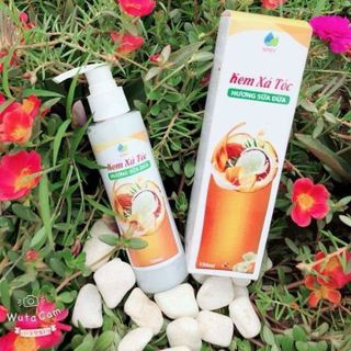 Dầu xả Hương Bưởi