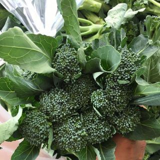 Súp lơ baby nhật broccoli