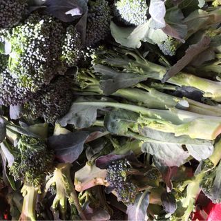 Súp lơ baby nhật broccoli