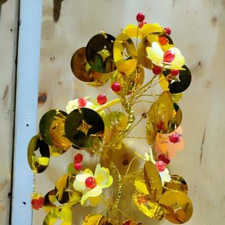 CÂY KIM TIỀN LÁ NGẪU NHIÊN CÓ HOA CAO 25CM-30CM PHK