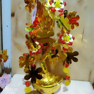 CÂY KIM TIỀN LÁ NGẪU NHIÊN CÓ HOA CAO 25CM-30CM PHK