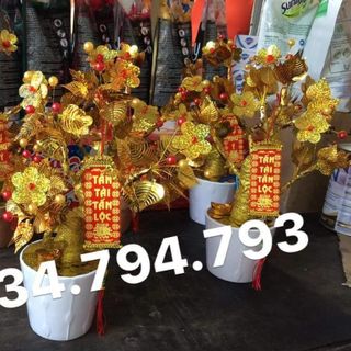 CÂY CÀNH VÀNG LÁ NGỌC CHẬU SỨ SIZE NHÍ PHK HOA LÁ NGẪU NHIỆN