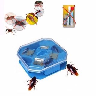 Dụng Cụ Bắt Gián Hiệu Quả