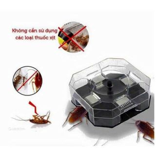 Dụng Cụ Bắt Gián Hiệu Quả