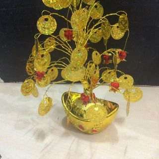 CÂY CÀNH VÀNG LÁ NGỌC CÂY KIM TIỀN SIZE NHỎ PHK HOA LÁ NGẪU NHIỆN