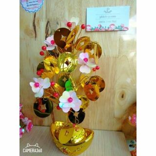 CÂY KIM TIỀN LÁ NGẪU NHIÊN CÓ HOA CAO 25CM-30CM PHK