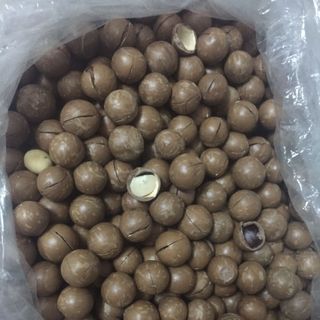 MACCA THÔ TRỰC TIẾP TỪ ÚC SIZE CHUẨN