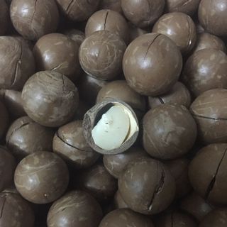 MACCA THÔ TRỰC TIẾP TỪ ÚC SIZE CHUẨN