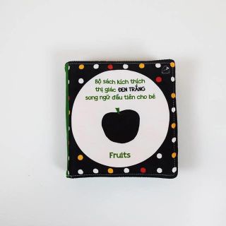 SÁCH VẢI KÍCH THÍCH THỊ GIÁC SONG NGỮ ĐẦU TIÊN Ở VIỆT NAM 1 Bộ 4 Quyển