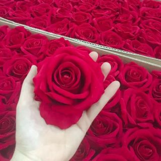 Bán buôn bán sỉ số lượng lớn đầu hoa hồng