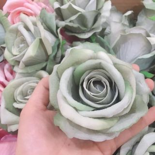 Bán buôn bán sỉ số lượng lớn đầu hoa hồng