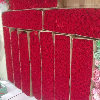 Bán buôn bán sỉ số lượng lớn đầu hoa hồng