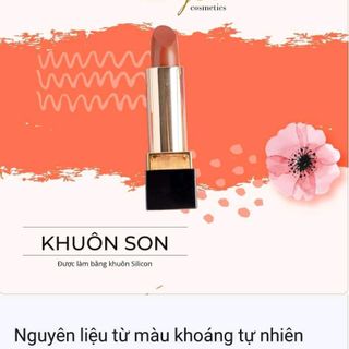 Son môi chất havyco