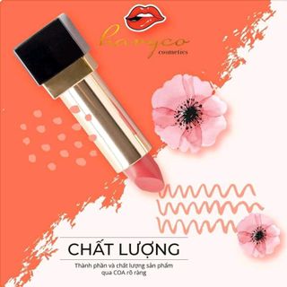 Son môi chất havyco