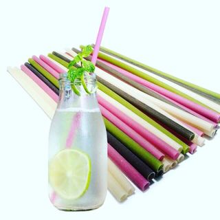 Ống hút bột gạo tự hủy Ochao