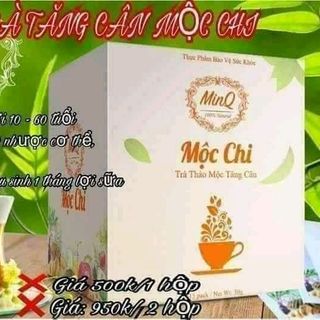 Trà tăng cân Mộc Chi