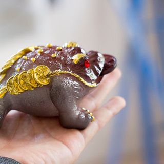 Cóc thần tài đổi màu cực độc và dễ bán