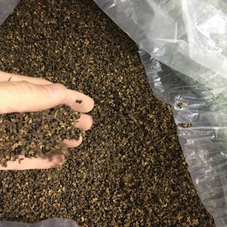 Hạt Mắc Khén Tây Bắc bán sỉ trên toàn quốc