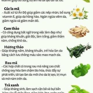 SỮA RỬA MẶT GON