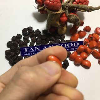 Hạt Dổi Rừng - Dổi nếp Hòa Bình Sỉ trên toàn quốc