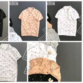 áo thun cá sấu nam