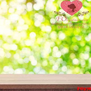 Vải phông nền cảnh trí FO378