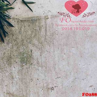Vải phông nền cảnh trí FO288