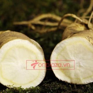 Nhân sâm tươi Hàn Quốc loại 12 củ/kg NS008