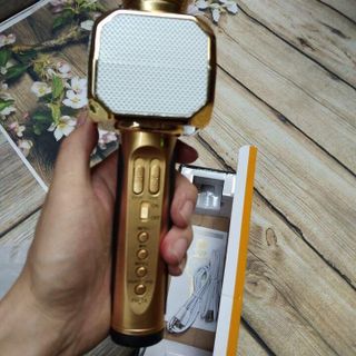 Mic hat Sd10