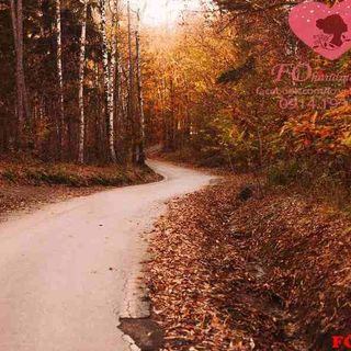 Vải phông nền cảnh trí FO10730