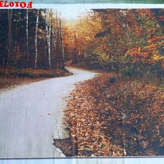 Vải phông nền cảnh trí FO10730