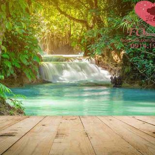 Vải phông nền cảnh trí FO3933