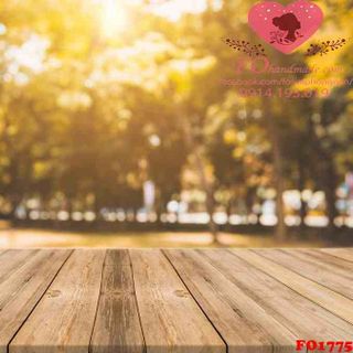 Vải phông nền cảnh trí FO1775