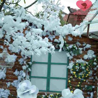 Vải phông nền cảnh trí FO6314